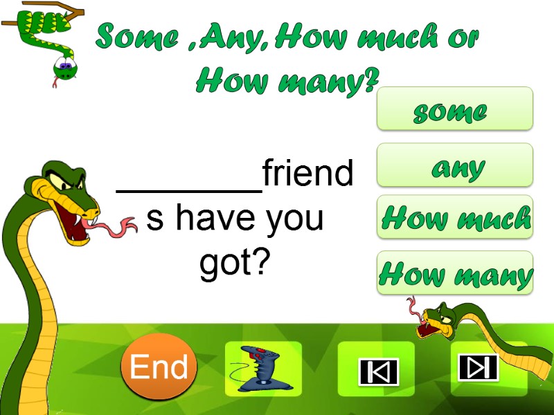 _______friends have you got? some any How much How many Some , Any, How